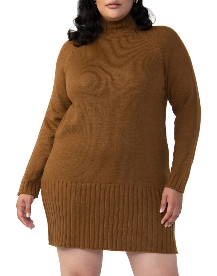 Turtleneck Sweater Dress 1X